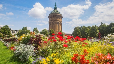 Kunstforelle 25-08